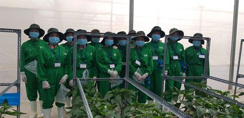 Công Ty TNHH Sản Xuất Hạt Giống Rau Lâm Đài